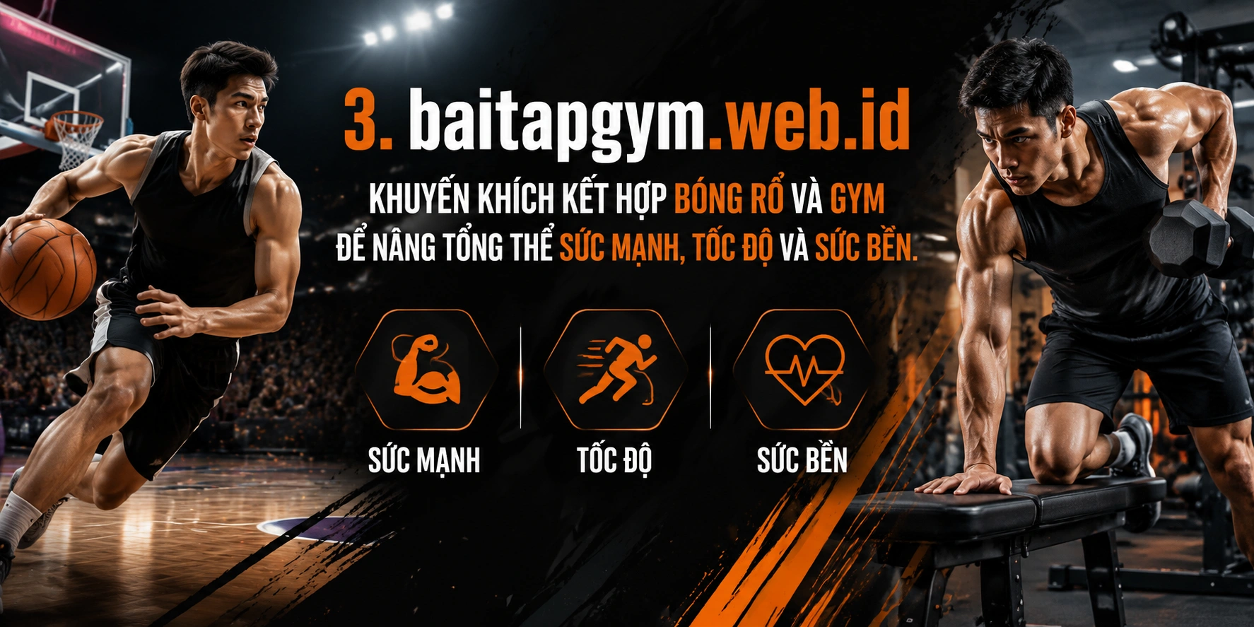 Bóng rổ 5